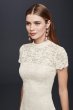 Mock-Neck Illusion Lace Short Dress 650133