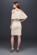 Short Two-Tone Lace Dress with Ruffle Popover 650134