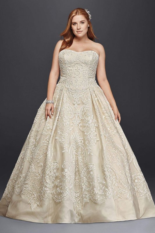 Plus Size Lace Tulle Wedding Dress 8CWG635