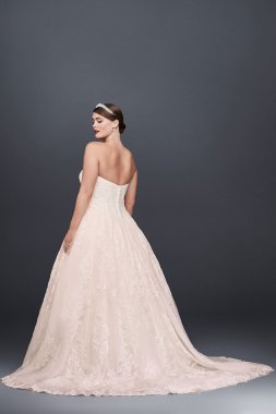 Plus Size Wedding Ball Gown with Lace Appliques 8CWG749