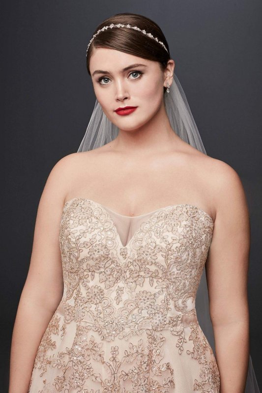 Metallic Lace Plus Size A-Line Wedding Dress 8CWG767