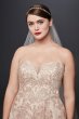 Metallic Lace Plus Size A-Line Wedding Dress 8CWG767