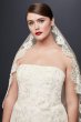 Lace Appliqued Plus Size Wedding Dress and Topper 8CWG790