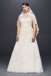 Lace Appliqued Plus Size Wedding Dress and Topper 8CWG790