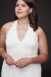 Low Back Eyelash Lace Halter Plus Size Dress 9DS870149