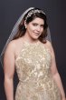 Allover Lace Applique Halter Plus Size Ball Gown 9SWG801