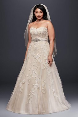 Tulle A-Line Plus Size Wedding Dress with Lace Collection 9V3587