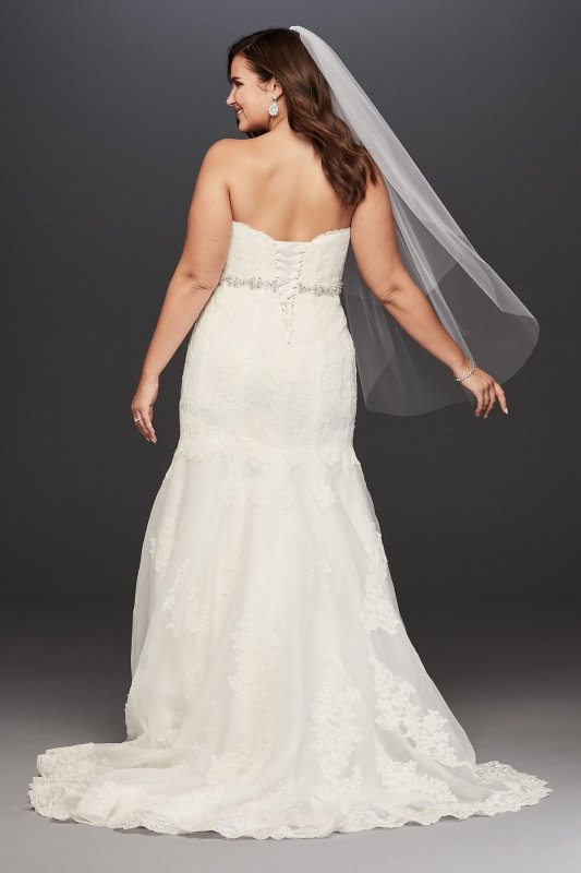 Lace Plus Size Wedding Dress with Scalloped Hem Collection 9V3680