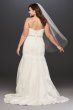 Lace Plus Size Wedding Dress with Scalloped Hem Collection 9V3680
