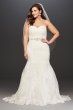 Lace Plus Size Wedding Dress with Scalloped Hem Collection 9V3680