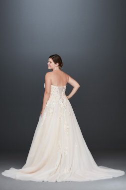 Embroidered Lace Applique Plus Size Wedding Dress Collection 9V3902