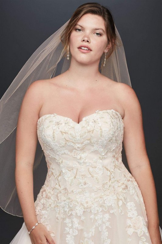 Embroidered Lace Applique Plus Size Wedding Dress Collection 9V3902