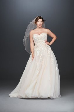 Embroidered Lace Applique Plus Size Wedding Dress Collection 9V3902