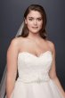 Lace and Organza Plus Size Ball Gown Wedding Dress Collection 9WG3830