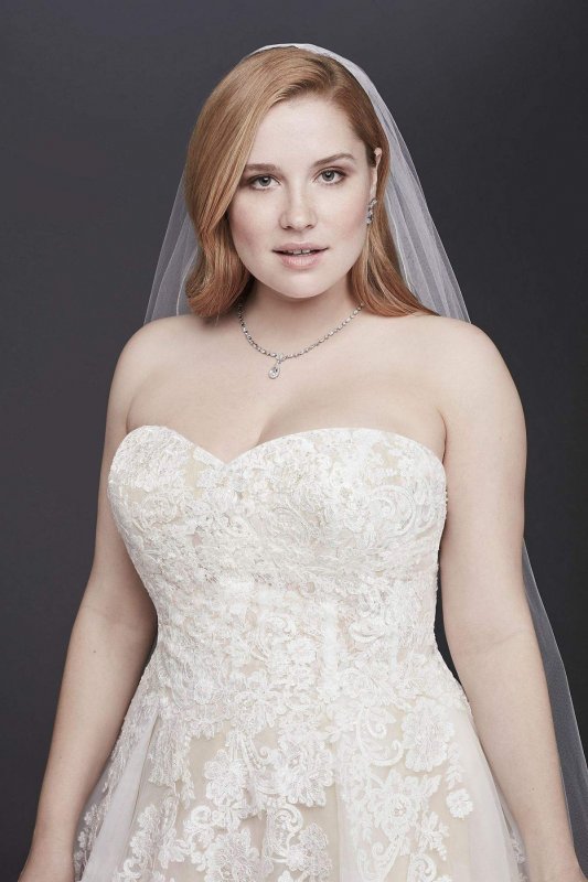 Sheer Lace and Tulle Plus Size Wedding Dress Collection 9WG3861