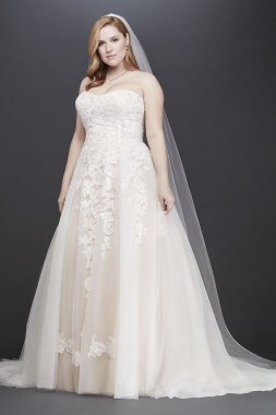Sheer Lace and Tulle Plus Size Wedding Dress Collection 9WG3861