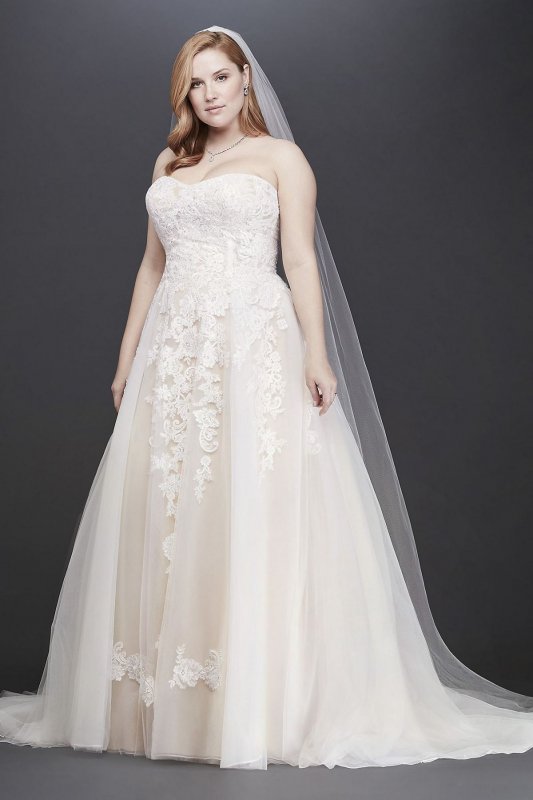 Sheer Lace and Tulle Plus Size Wedding Dress Collection 9WG3861