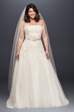 Appliqued Tulle A-Line Plus Size Wedding Dress Collection 9WG3862