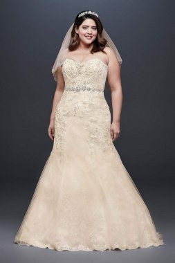 Beaded Lace Plus Size Mermaid Wedding Dress Collection 9WG3909