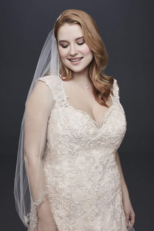Tulle Cap Sleeve Plus Size Mermaid Wedding Dress Collection 9WG3911