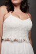 Lace and Tulle Two-Piece Plus Size Wedding Dress 9WG3952