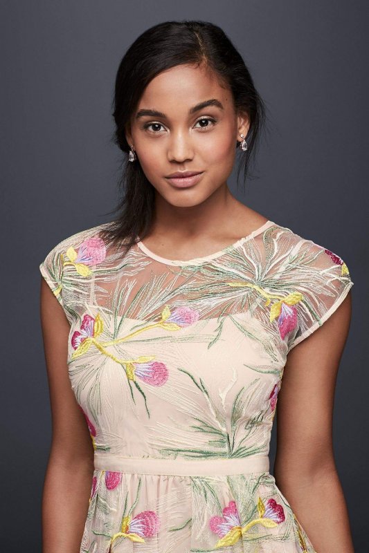 Embroidered Organza Fit-and-Flare Midi Dress Harlyn DE22835B
