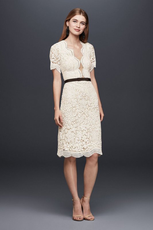 Illusion Lace Shift Dress with Contrast Ribbon DS870029