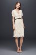Illusion Lace Shift Dress with Contrast Ribbon DS870029