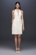 Patterned Sequin Lace Short Sheath Dress DS870107