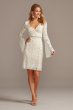V-Neck Short Lace Dress with Illusion Bell Sleeves DS870165