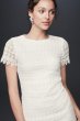 Illusion Short Sleeve Dress with Venice Lace Trim HP01K17