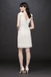 Sequin V-Neck Short Tank Dress with Chiffon Bows Aidan Mattox MN1E204631