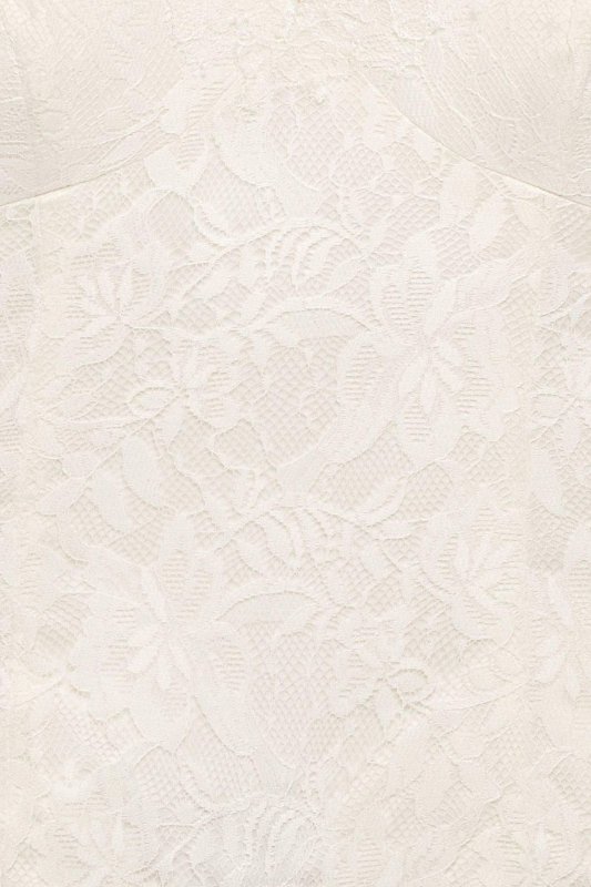 Soft Lace Sheath Wedding Dress with Low Back NTWG3827