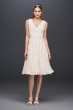 3D Floral V-Neck Short Dress with Structured Hem SDWG0676