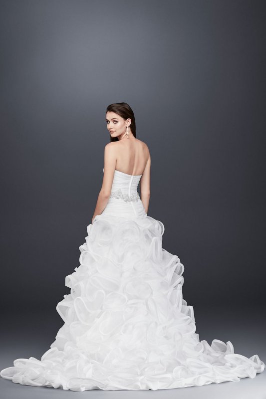 Ruffled Skirt Wedding Gown with Embellished Waist SWG492