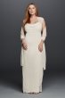 Lace Cap Sleeve Plus Size Long Matte Mesh Dress XS3450W