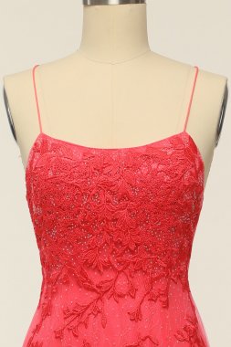 Coral Backless Long Prom Dress with Appliques E202283786