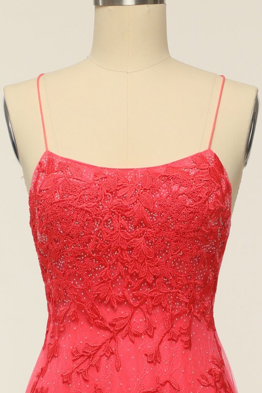Coral Backless Long Prom Dress with Appliques E202283786
