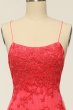 Coral Backless Long Prom Dress with Appliques E202283786