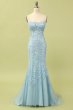Coral Backless Long Prom Dress with Appliques E202283786