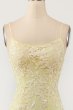 Coral Backless Long Prom Dress with Appliques E202283786