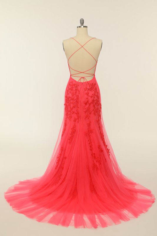 Coral Backless Long Prom Dress with Appliques E202283786