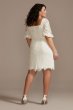 Lace Plus Size Mini Dress with Bubble Sleeve 9SDWG0913