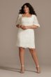 Lace Plus Size Mini Dress with Bubble Sleeve 9SDWG0913