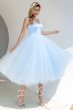 Sky Blue Tulle Cocktail Dress E202283046