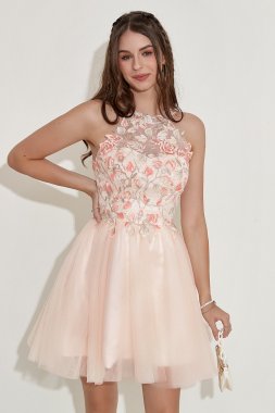 Champagne Halter Homecoming Dress with Embroidery E202283616