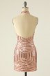 Halter Blush Sequins Fitted Homecoming Dress E202283209