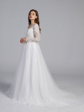Illusion Long Sleeve Wedding Dress With Low Back AB202018