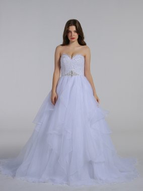 Lace and Organza Wedding Ball Gown with Beading AB202019