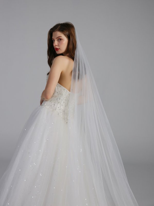 Beaded Illusion Bodice Ball Gown Wedding Dresses AB202006